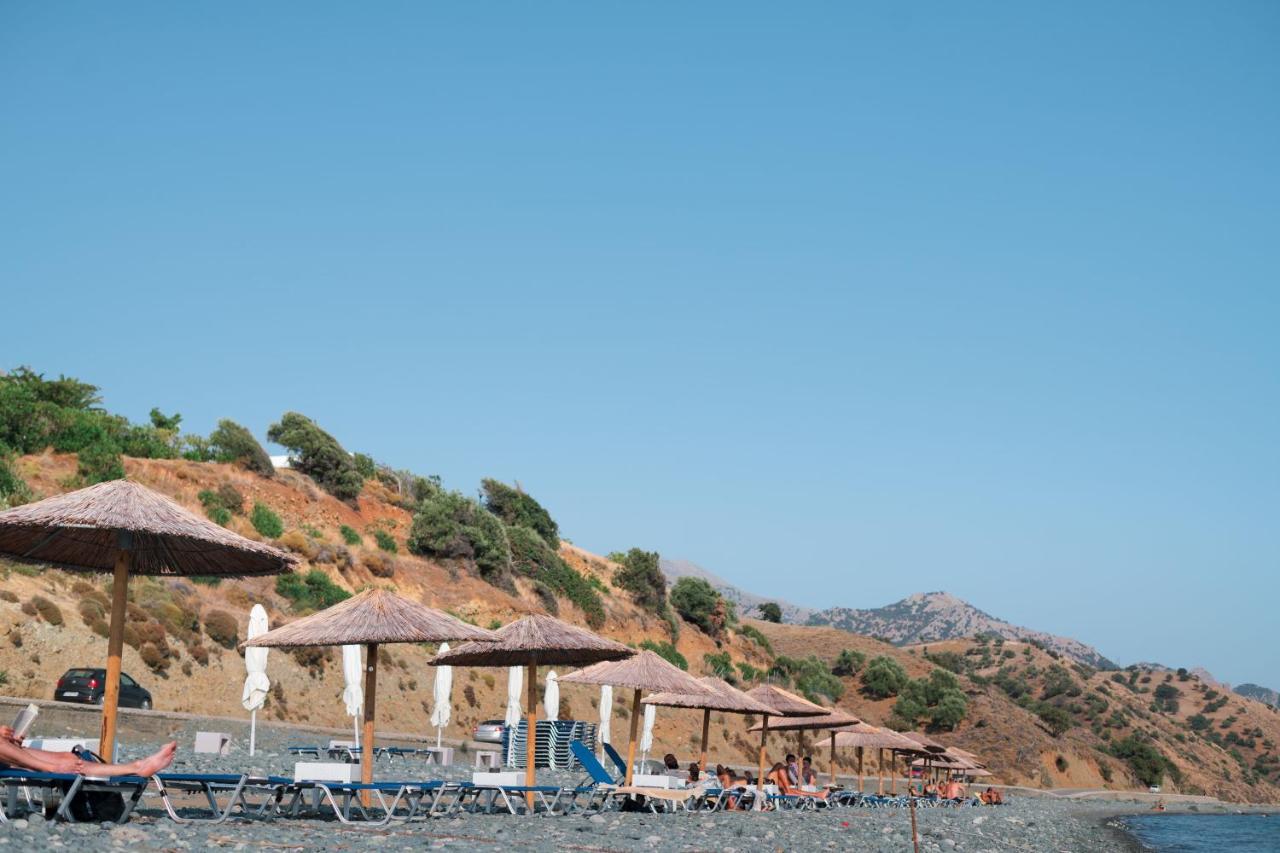 Samothraki Beach Boutique Hotel Makrilies Екстер'єр фото